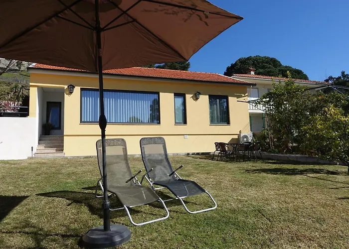 Montinho 313